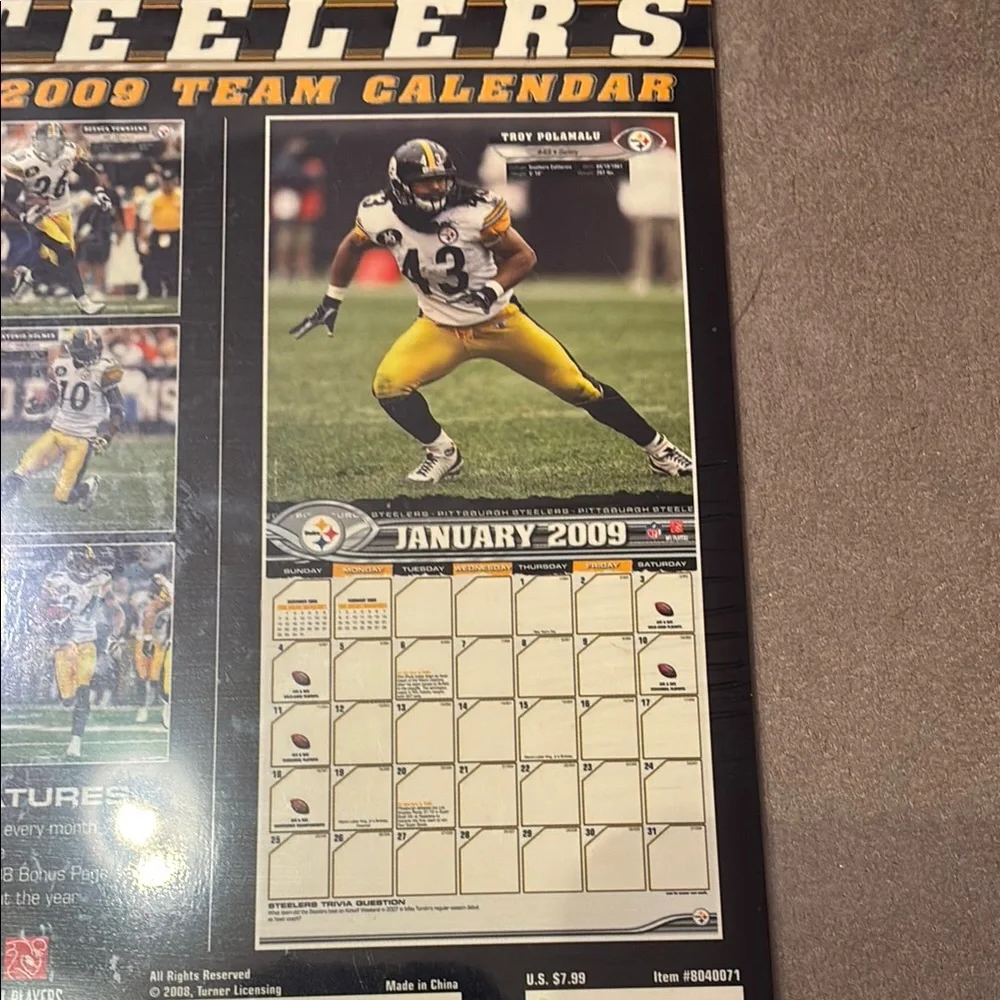 Pittsburgh Steelers 2009 Mini Calendar